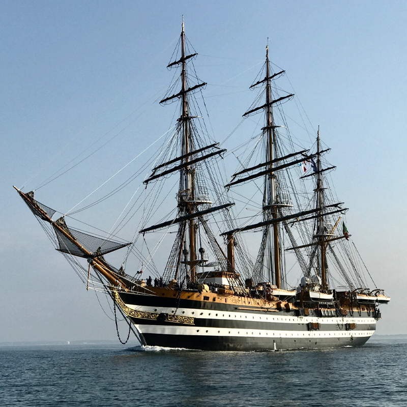 De tros van Delfsail 1991 werd de Amerigo Vespucci, die ondanks pessimistische voorspellingen, toch echt naar Delfzijl kwam!