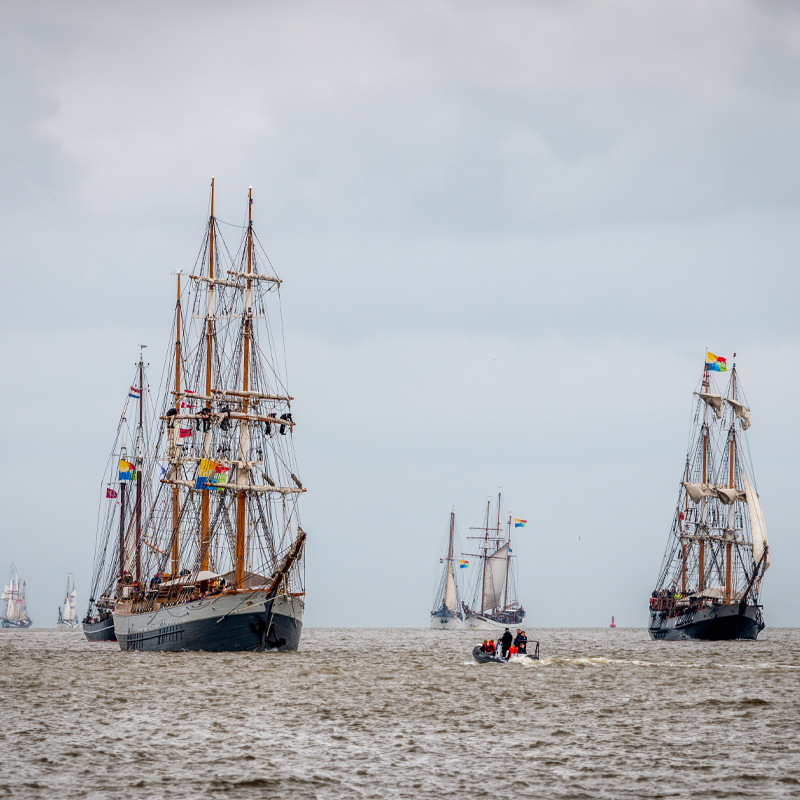 Sail in parade op de eems