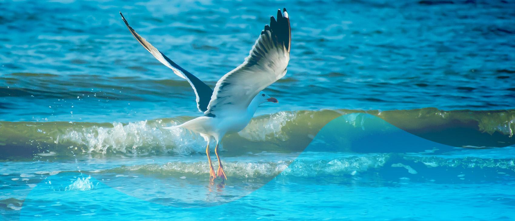 Duurzaamheid en DelfSail