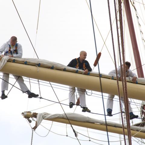 DelfSail 2009 - © Jolanda Wals