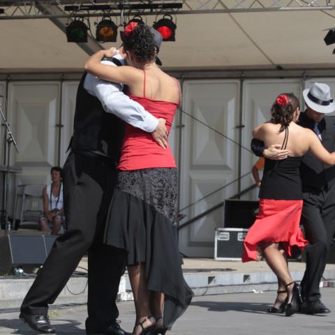 DelfSail 2009 - © Jos Schuurmans