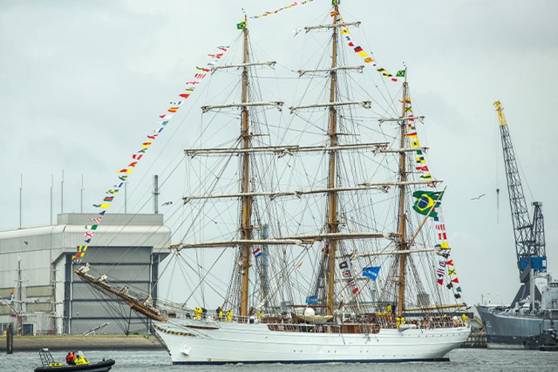 De Braziliaanse Cisne Branco